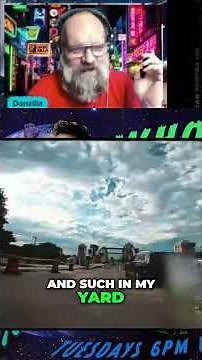 Drone vs Birds Epic Aerial Battle or Backyard Buddies