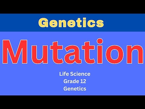 Genetics | Mutation | Life science grade 12