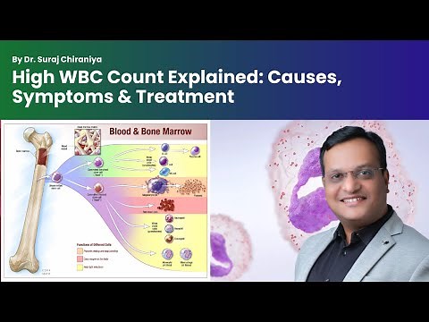 High WBC Count Explained: Causes, Symptoms & Treatment
