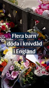 4.5K views · 19 reactions | Tre barn har avlidit efter måndagens knivdåd i Southport i nordvästra England. En 17-årig pojke är misstänkt för dådet och förhörs av polis. Dådet riktades mot en Taylor Swift-workshop. Läs mer: https://www.gp.se/nyheter/varlden/kritiskt-lage-for-flera-barn-efter-knivdadet-i-southport-tre-flickor-doda.b8295e6f-6bae-4d7e-94d4-fdea022d3d98 : Paul Wennerholm ✂: Fanny Nordström ✍: Alexandra Turku, Mattias Balkander | Göteborgs-Posten | Facebook
