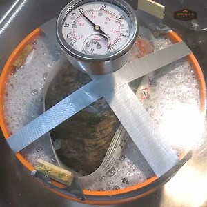 3.8K views · 167 reactions | UNREAL Log Transformation | Sprague Woodturning | Facebook