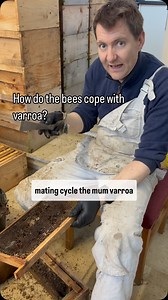3.6K views · 889 reactions | Gareth explains how bees are able to cope with varroa. They interrupt the breeding cycle each time leading to the varroa not being able to reproduce. #varroaresistance #hygeinicbehaviour #treatmentfree #honeybee | Manchester Honey Company | Facebook
