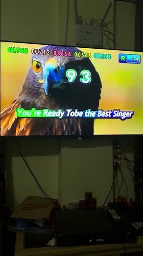 Videoke score