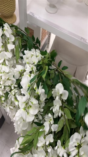 Shop for Your Dream Apartment with Ayden West