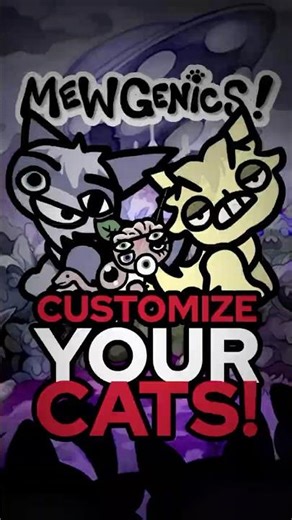 FINALLY… Custom Cats Are Here!