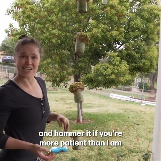 399K views · 26K reactions | Green Thumb Guide: Ronda's DIY Jar Garden | Ronda Rousey | Facebook