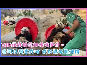 11月26日💖VIP视线锁定细佬啃笋仔～点可以得意成咁！威到漏电萌爆镜，睇到人心都融晒💖
