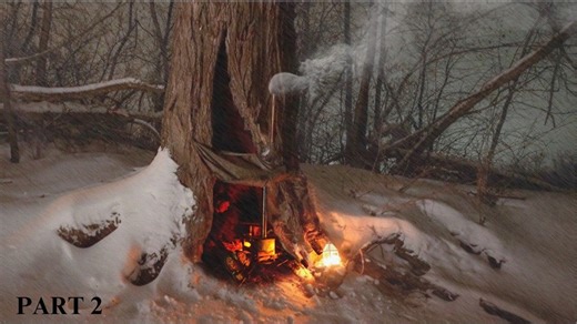 35 reactions | Extreme Winter Overnight in a Tree Hollow | Primitive Fire Making, Catching & Cooking Fish | Part 2 | Forest Paths | Facebook