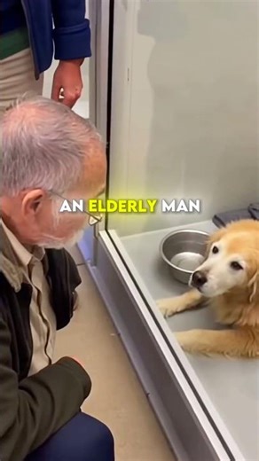 14 years invisible… one man changed everything. 🐾 #dogrescue #shorts #adoptdontshop