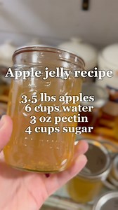 8.6K views · 65 reactions | Apple jelly recipe. #apples #applejelly #jellyrecipe #homemaker #homemade #homestead #homesteading #homesteader | Hannah Easton | Facebook