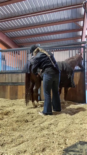 Morning Routine at the Barn with Horses and Dogs