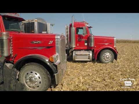 2019 Iowa Corn Harvest