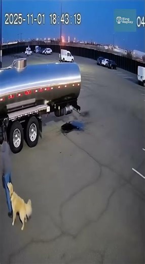 Golden Retriever Pulls Owner Away Seconds Before Fuel Tanker Explosion