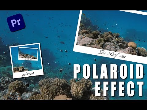 Polaroid Effect | PREMIERE PRO | Tutorial
