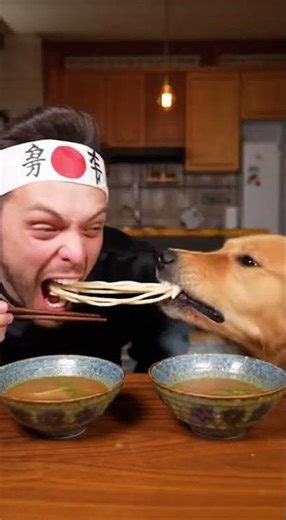Can a Human Beat a Dog in a Speed Eating Race?