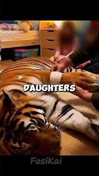 He Let a TIGER Inside His House... What Happened Next Is Unbelievable