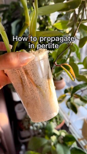 50K views · 37 reactions | SHARE this reel! ⤵️ My FAVORITE way to...