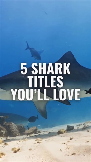 LiveAboard.com | 🦈 It’s almost weekend — and as the weather starts to cool down, it’s the perfect excuse to grab a blanket, chill on the couch, and watch... | Instagram