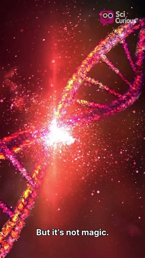 Editing DNA Like Text?!