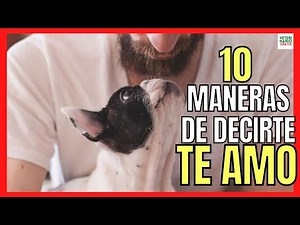 💖 10 WAYS YOUR DOG TELLS YOU I LOVE YOU 💖 SIGNS THAT YOUR DOG LOVES YOU