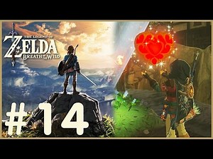 Zelda: Breath Of The Wild - Heart Container (14)