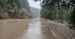 Flood relief available for Washington State residents