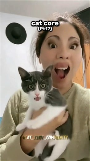 Cat core (Pt17)