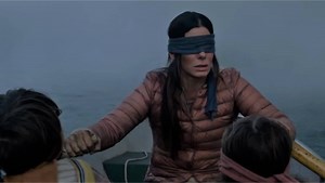 Bird Box Challenge : la mise en garde de la gendarmerie de Gironde