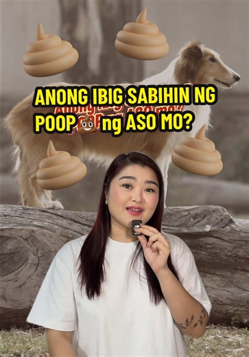 Understanding Your Dog's Poop: A Guide to Fecal Scoring