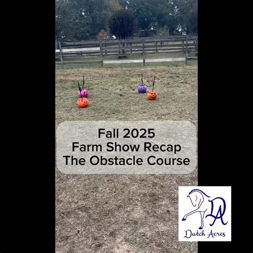 👀👻 Fall 2025 Farm Show Recap Part 2: The Obstacle Course 👀👻 Check out our amazing Trick-or-Treat obstacle course from our show! We loved opening it up to the public and had a lot of rider siblings and even a parent partake in the fun! #Halloween #horsebackridinglessons #halloween2025 #DutchAcresFarm | Dutch Acres