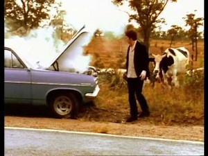 You Am I - Jaimme's Got A Gal