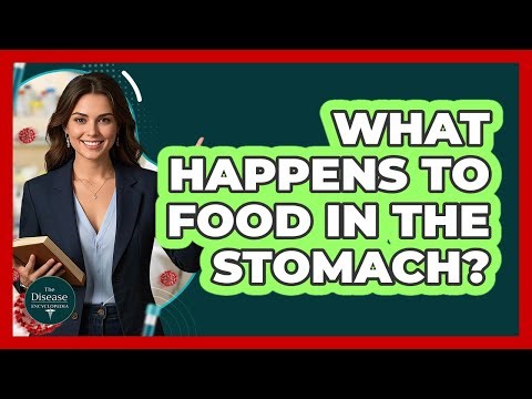 What Happens To Food In The Stomach?