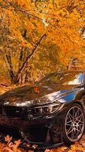 BMW’s racing legacy blends power, precision, and adrenaline-fueled performance. From track dominance to street perfection, it’s a passion-driven culture. #BMW #Mpower #SheerDrivingPleasure #BMWLife #UltimateDrivingMachine | BMW World