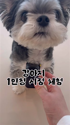 힐링물일 줄 알았는데 액션영화를 찍어옴ㅋㅋㅋ