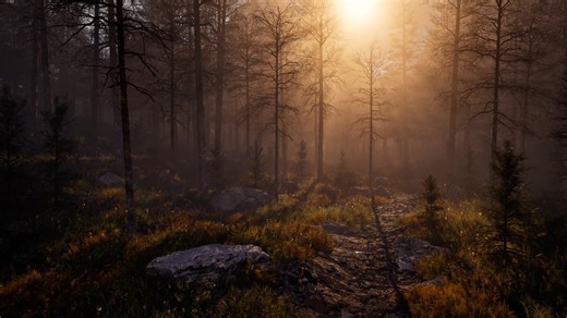 11K views · 211 reactions | Carlos Barrera discussed the creation of a forest environment in Unreal Engine 5, built using a procedural foliage system and inspired by the atmospheric worlds of The Last of Us and The Witcher 3. Read here: https://80.lv/articles/designing-tranquil-forest-environment-inspired-by-the-last-of-us | 80 Level | Facebook