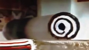 Hostess Ho Ho's - Cat | Commercial | Retro Junk