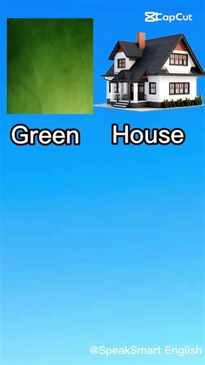 Literal vs Real Meaning part 100 #funny #vocabs #learnenglish #greenhouse #100 #subscribe