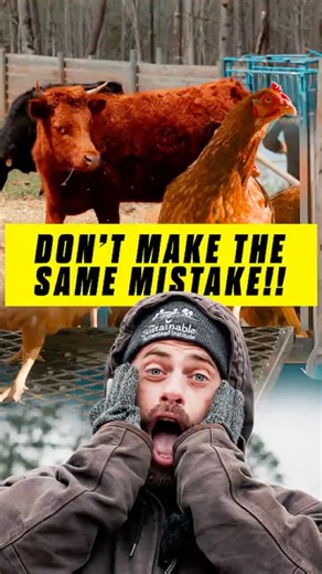 This Farm Mistake Gets Expensive Fast! #animals #farming #costly