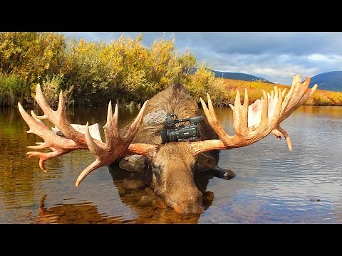 Moose hunt in Russia | Chukotka