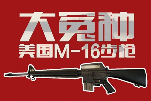枪械设计人员眼中的“大冤种”步枪！一起听晓枪老王讲M16经历的“人祸”~_哔哩哔哩_bilibili