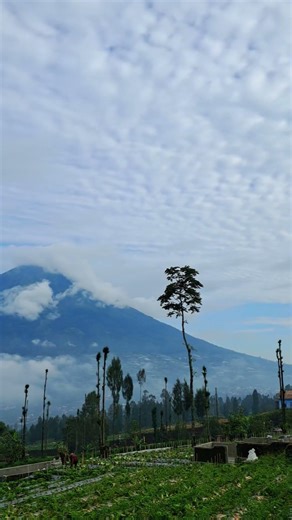 ABSOLUTELY BEAUTIFUL #nature #beautifulnature #travel #mountains