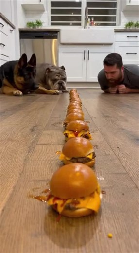 Concurs de mâncat pe bune 😂 Cine câștigă? #lumeanebunilor #caini #amuzant