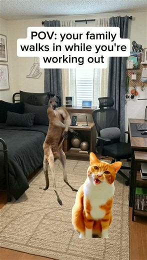 🦍🌵#cat #viral #funny