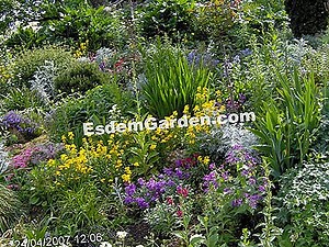 Средновековните градини на Троа (10) 🌿 Информация За Градинарство И Озеленяване - 2025