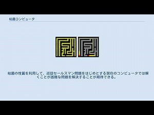 粘菌コンピュータ