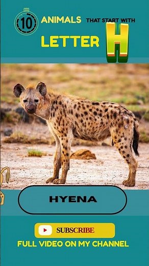 🐾Hyena and Heron Animals That Start With Letter H