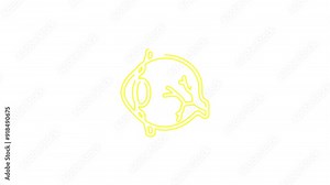 Eye Muscle Anatomy and Function - 4K Ultra HD Video of Eye Movement and Structure on white Background