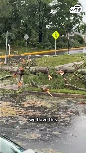 Powerful 'MICROBURST' behind major destruction in Northern Virginia