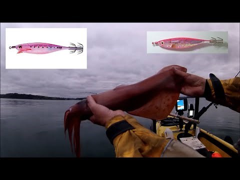 My Most Successful Squid Fishing Rig + Best Squid Jigs and Jig Colours