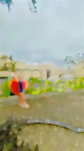 tine tine517 on TikTok